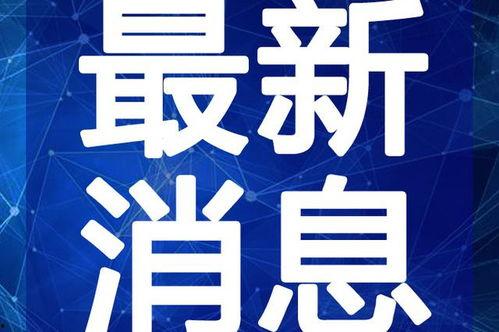 麻城石材厂爆料视频最新,揭秘行业乱象，环保与效益的博弈