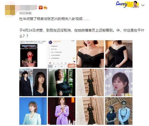 最新爆料张艺兴杨紫视频,幕后花絮曝光引网友热议